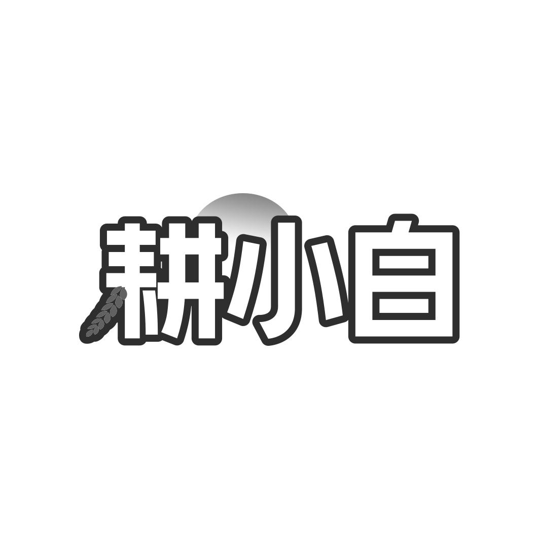 耕小白