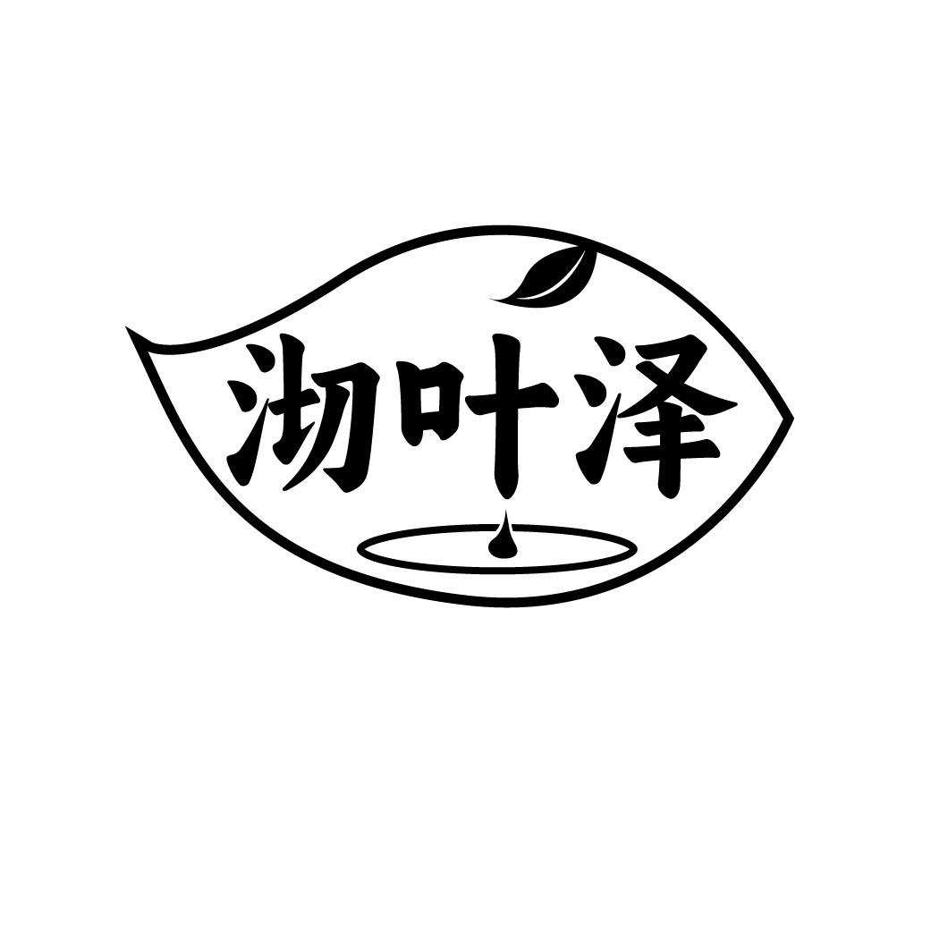 沏叶泽