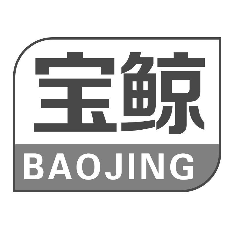 宝鲸