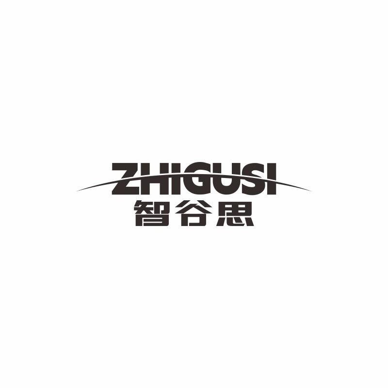 智谷思 ZHIGUSI