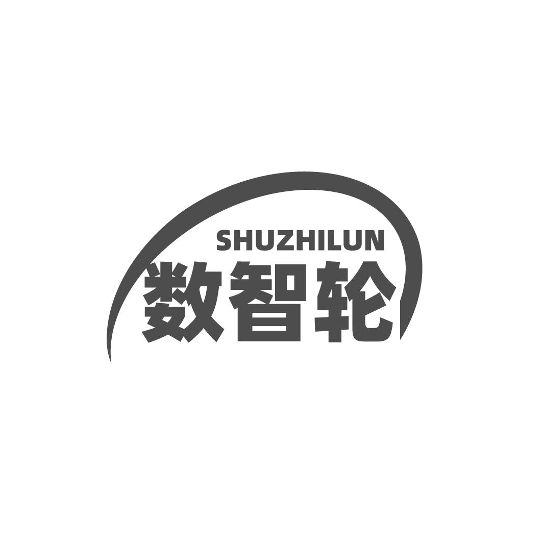 数智轮
