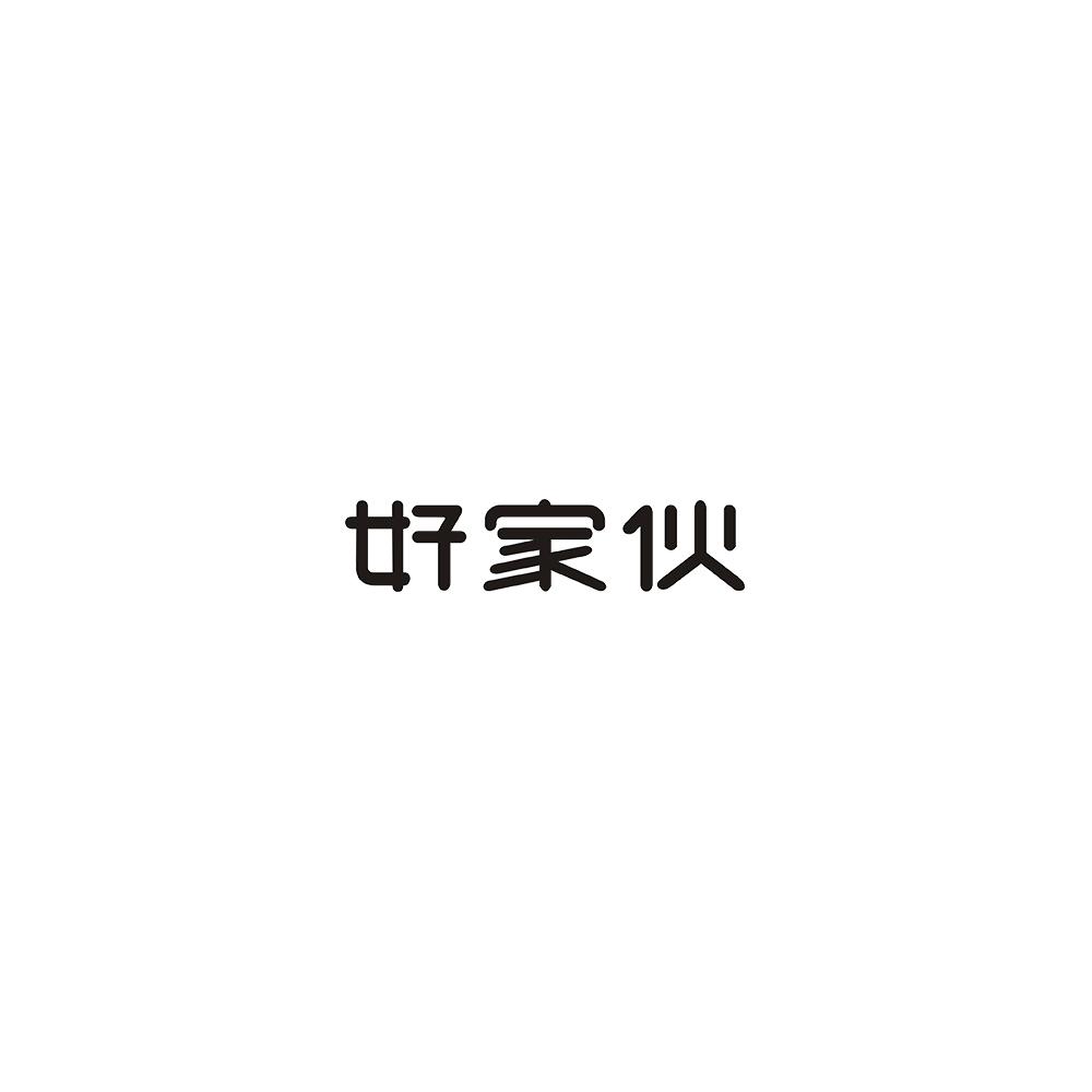 好家伙