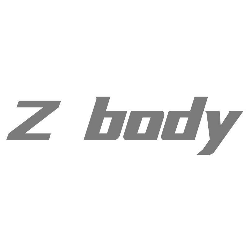 Z BODY