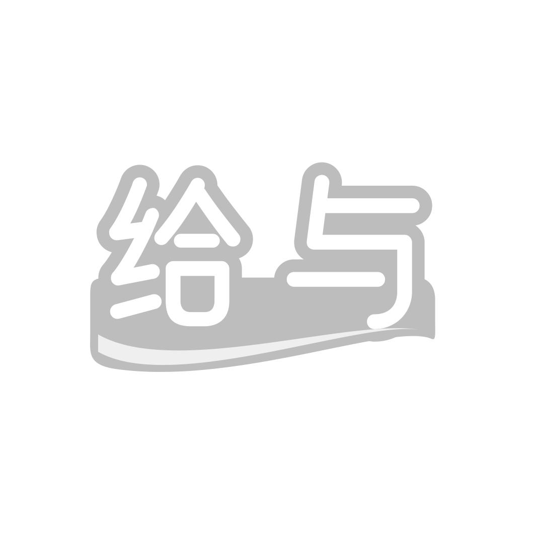 给与