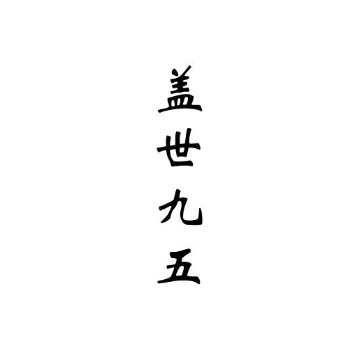 盖世九五