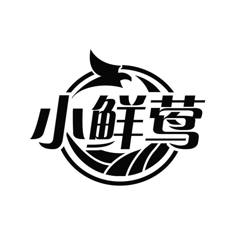 小鲜莺