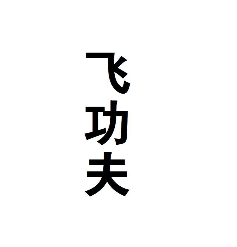 飞功夫