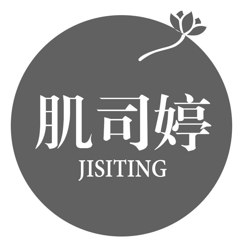 肌司婷