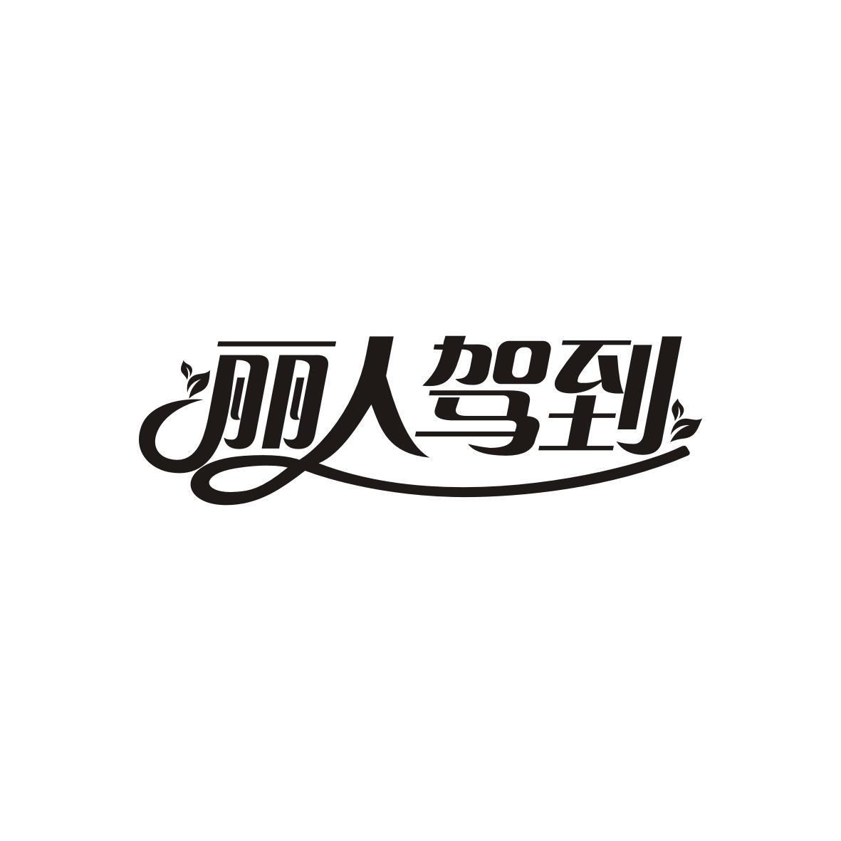 丽人驾到