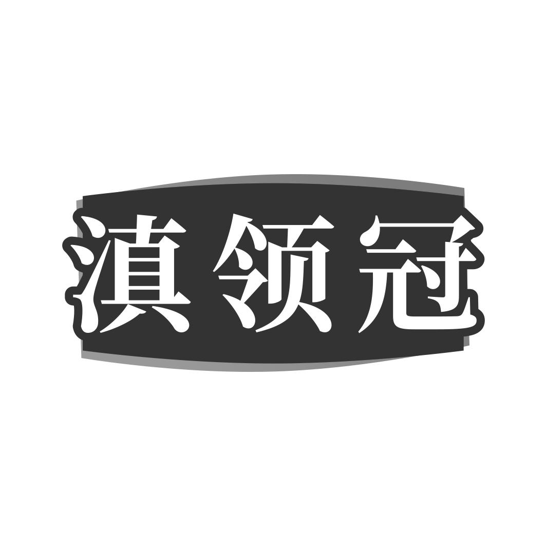 滇领冠