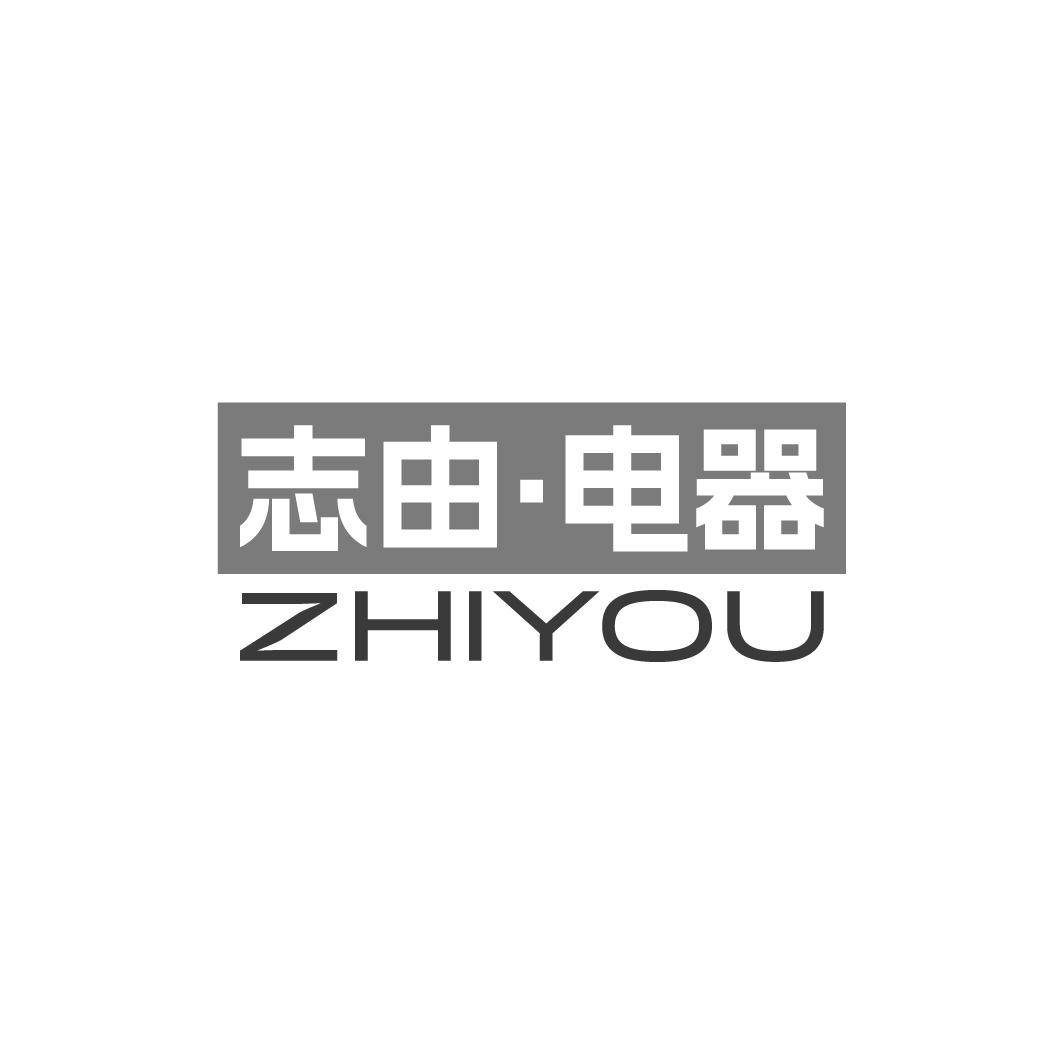 志由·电器ZHIYOU