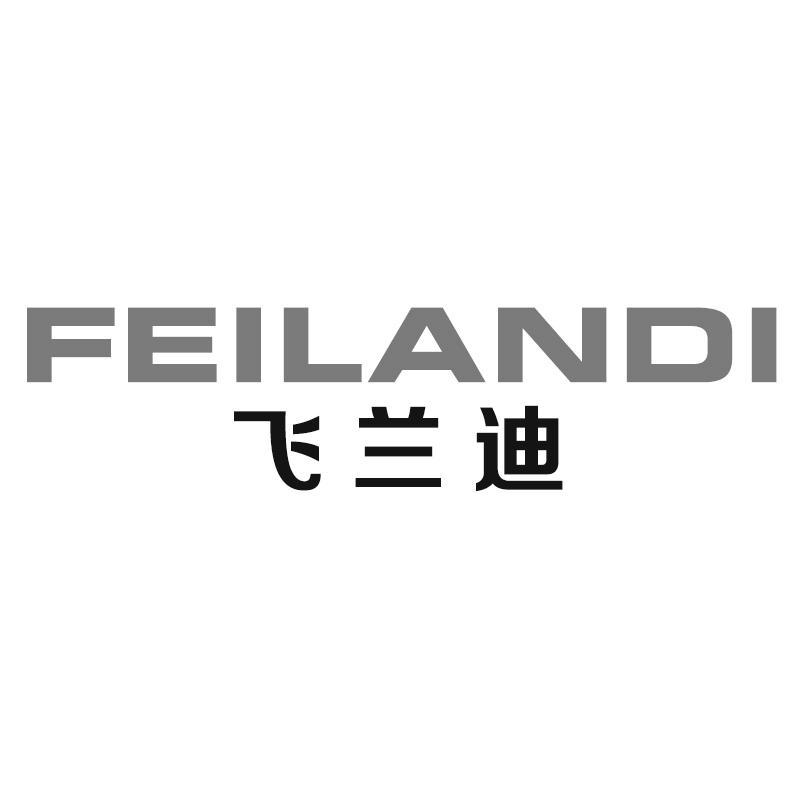 飞兰迪