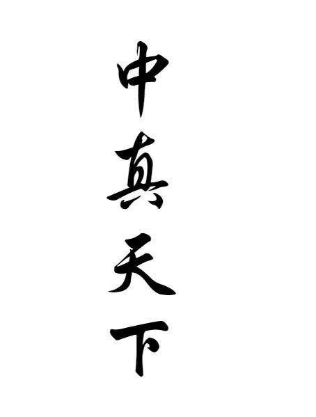 中真天下