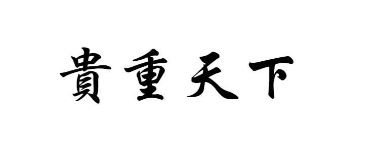 贵重天下