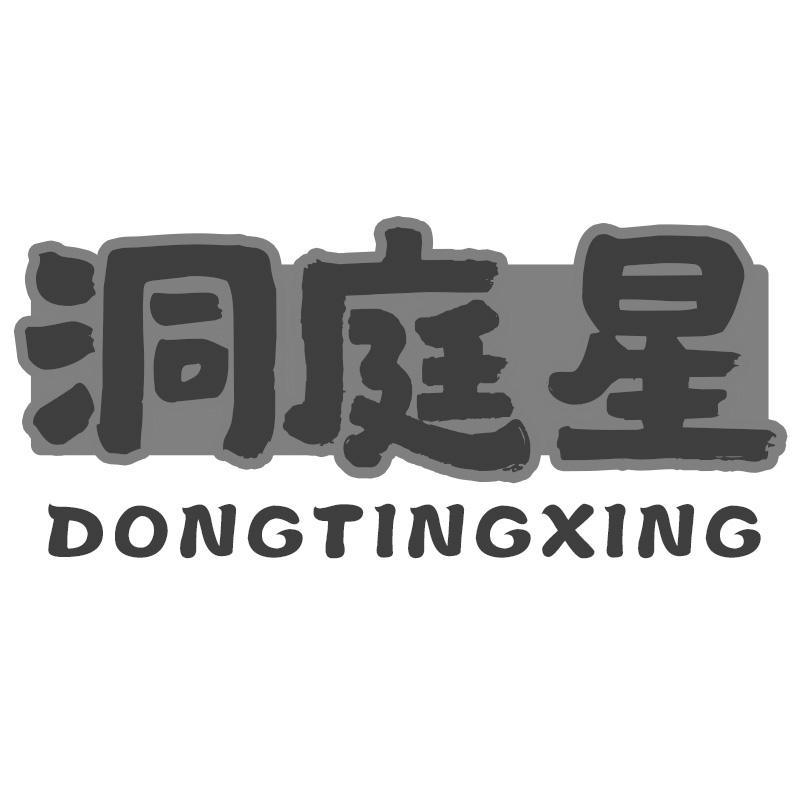 洞庭星