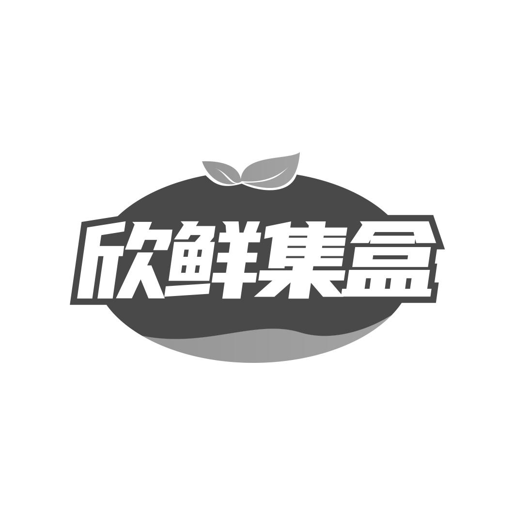 欣鲜集盒