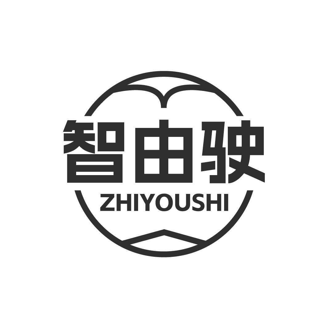 智由驶ZHIYOUSHI