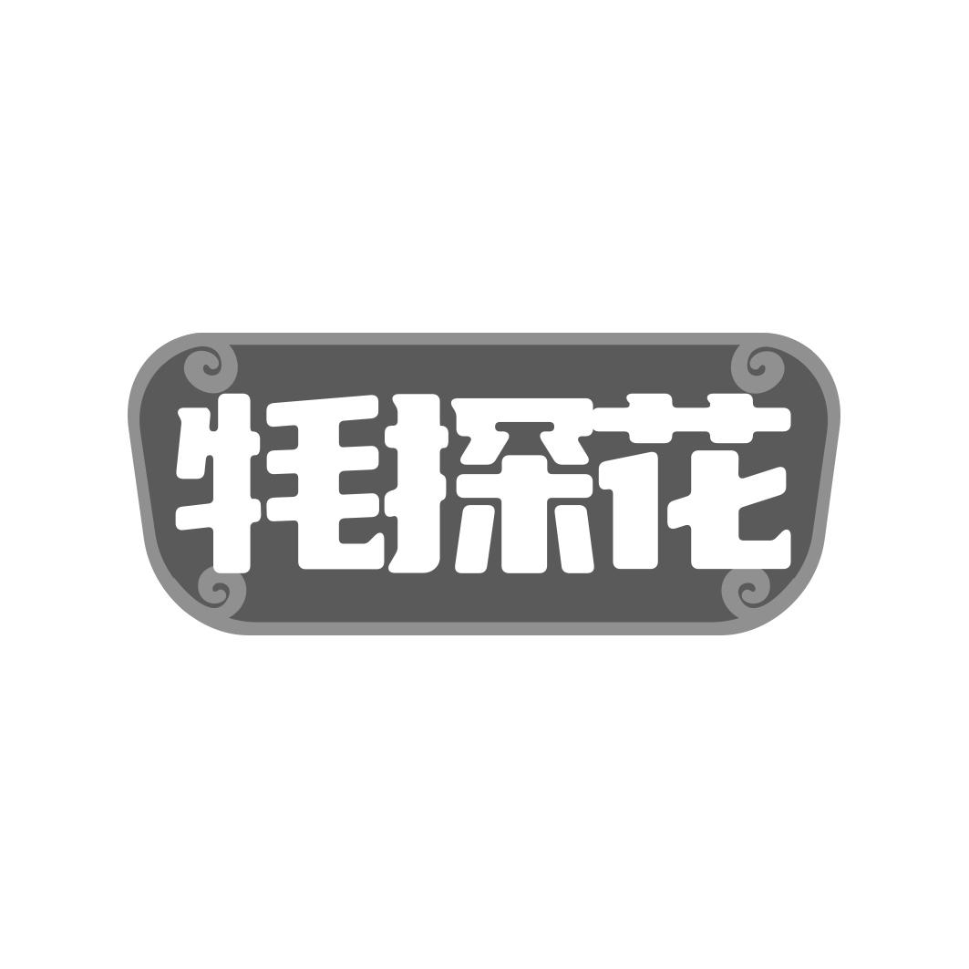 牦探花