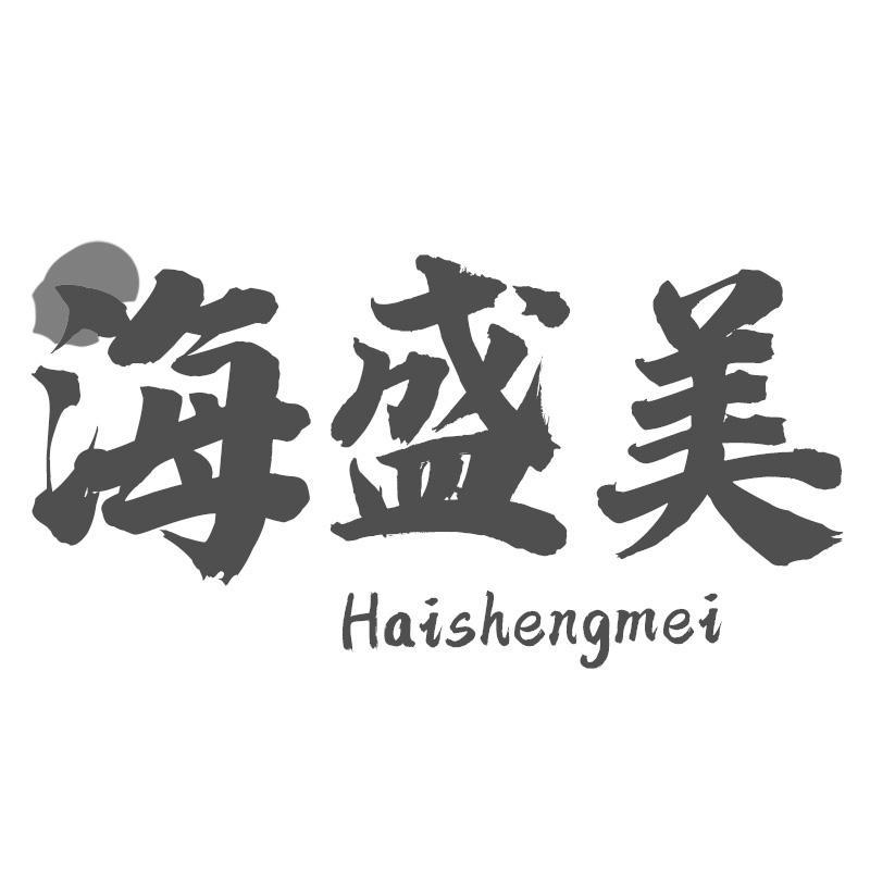 海盛美