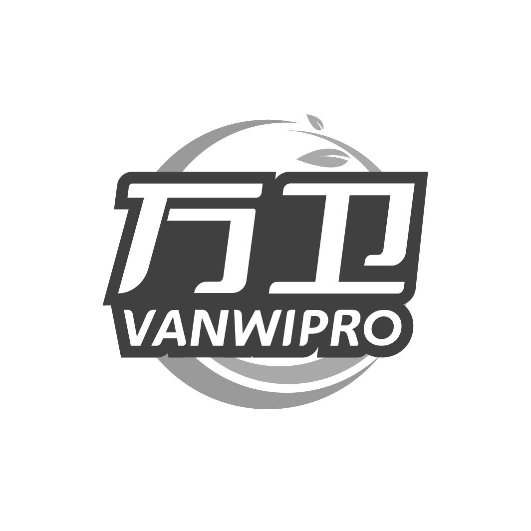 万卫   VANWIPRO