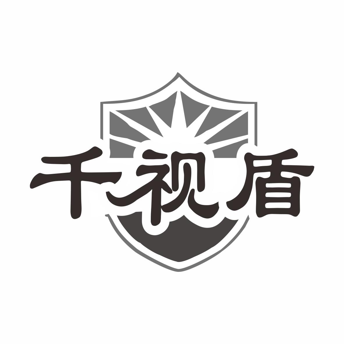 千视盾