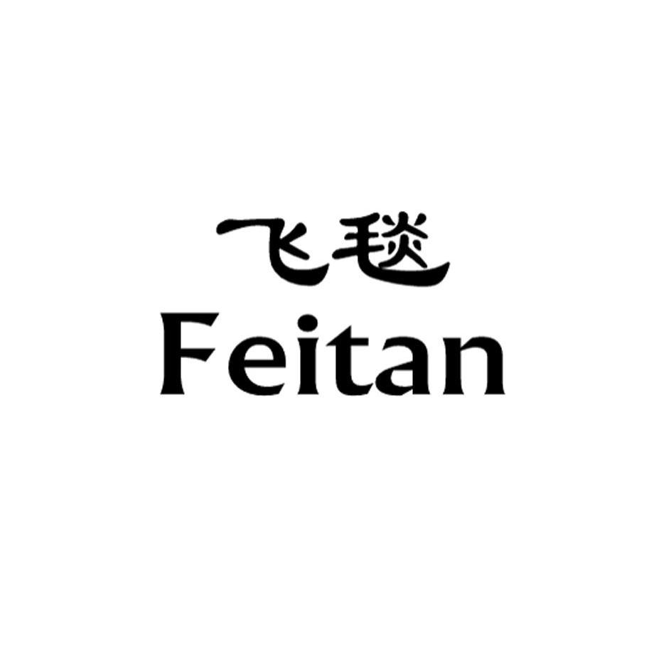 飞毯