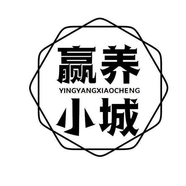 赢养小城