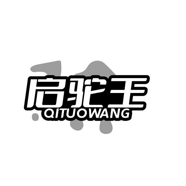 启驼王