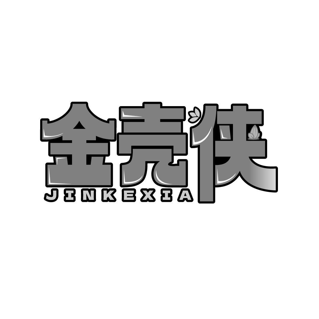 金壳侠