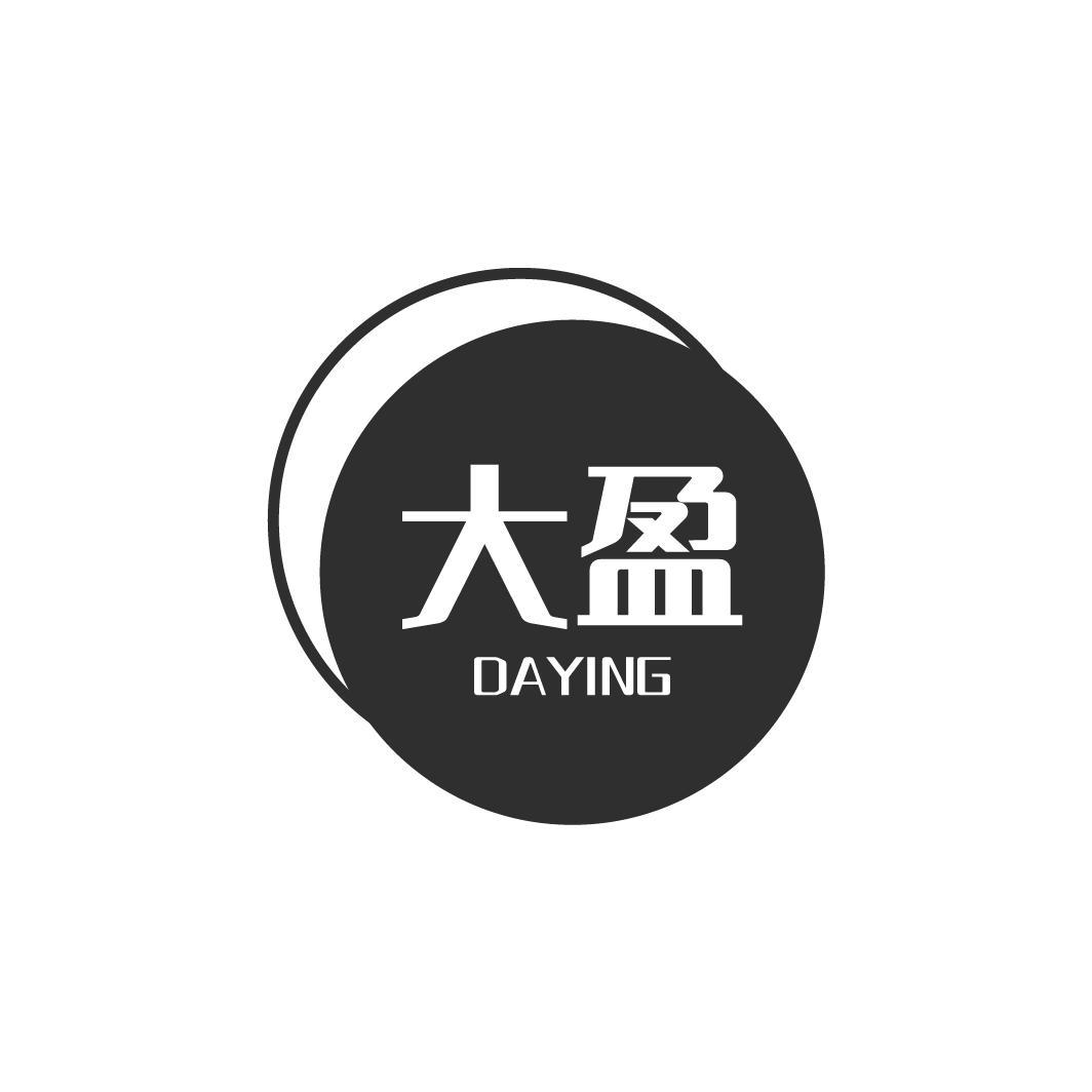 大盈DAYING