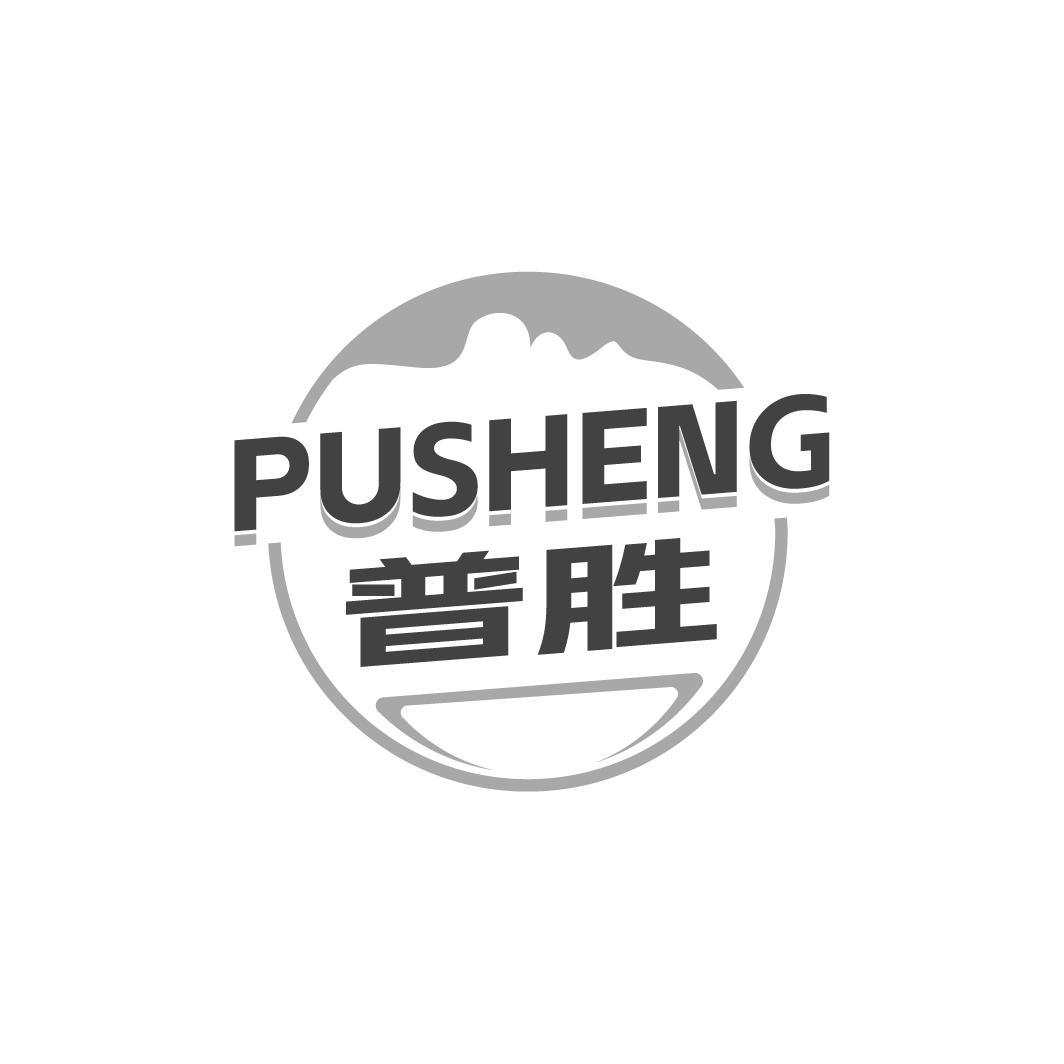 普胜PUSHENG