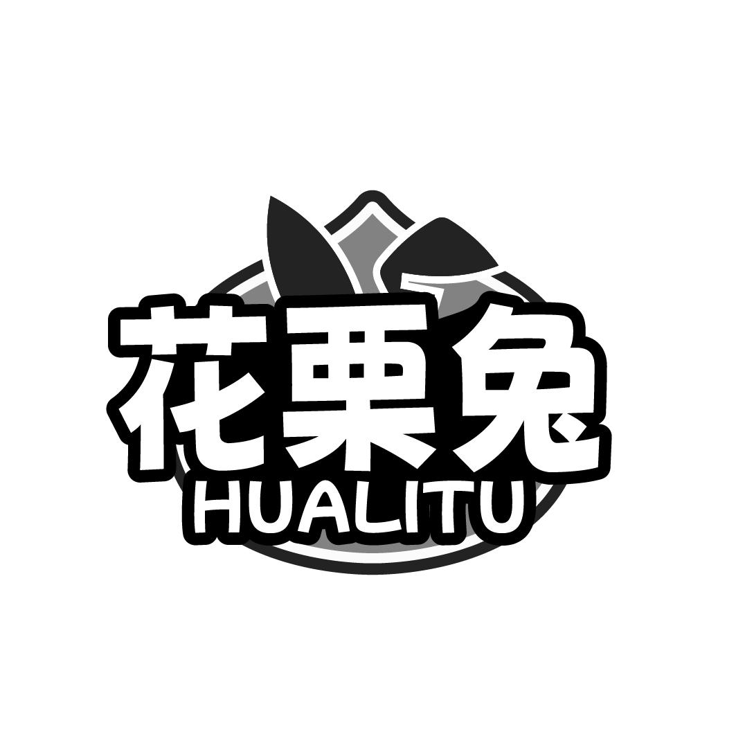 花栗兔   HUALITU