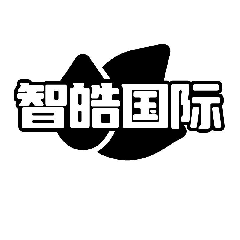 智皓国际