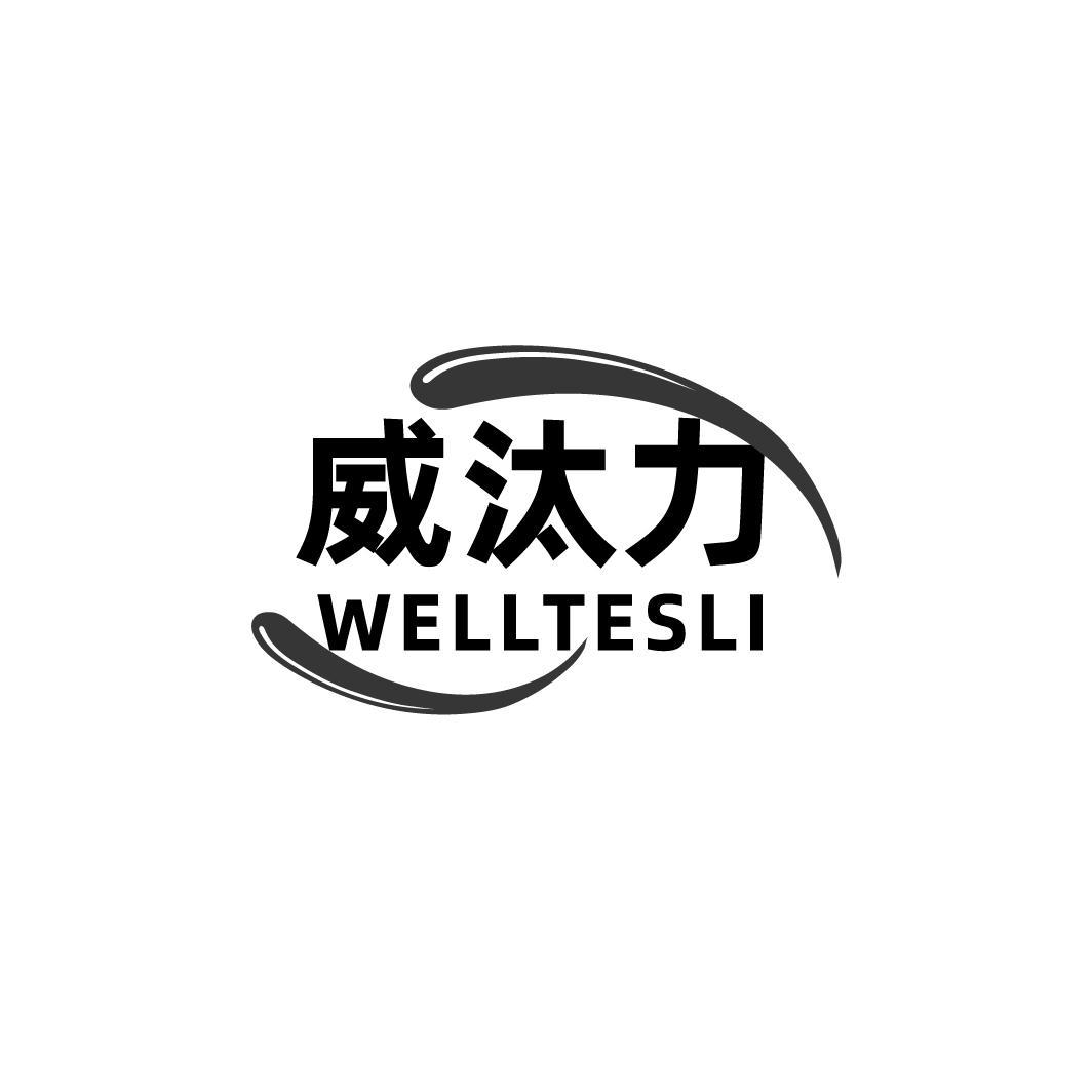威汰力 WELLTESLI