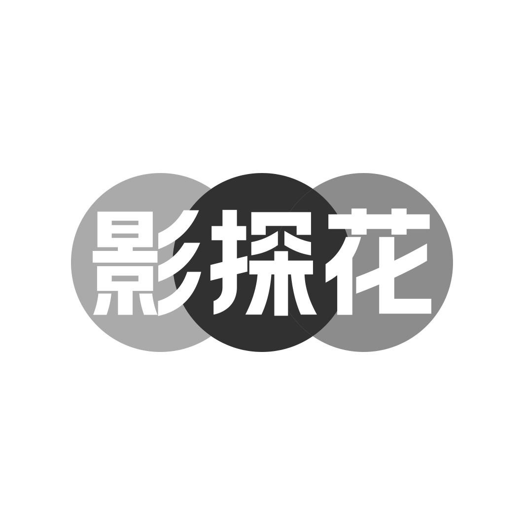 影探花