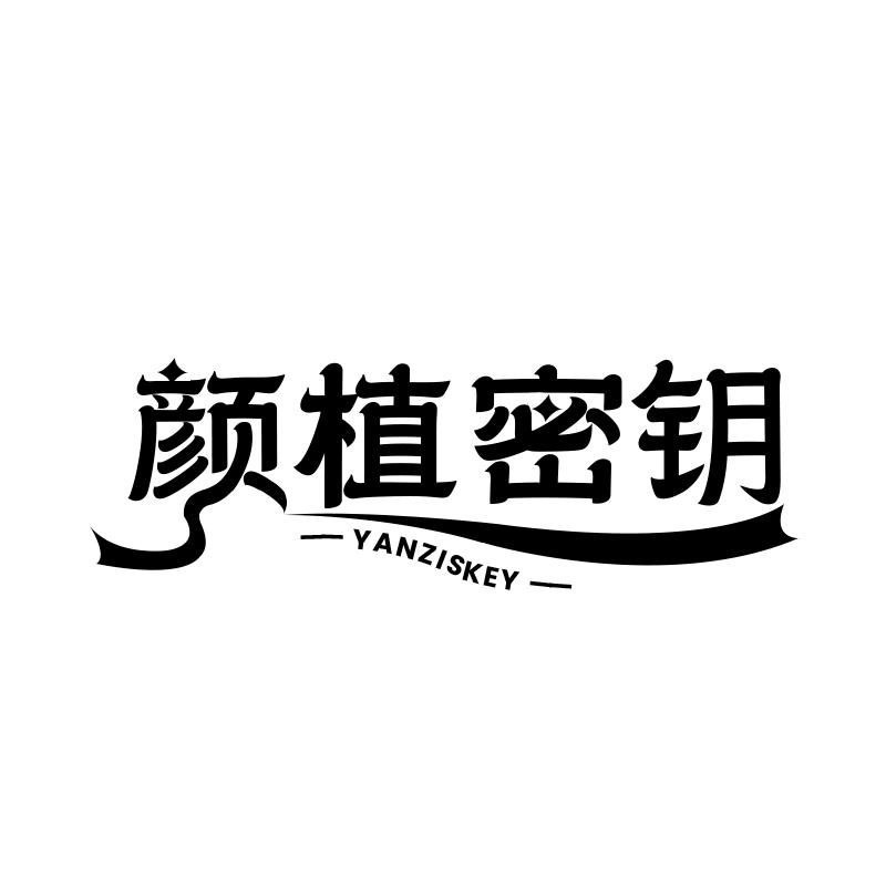 颜植密钥 YANZISKEY