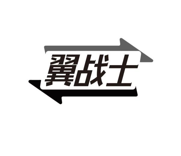 翼战士