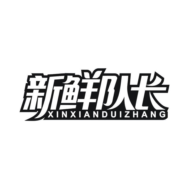 新鲜队长
