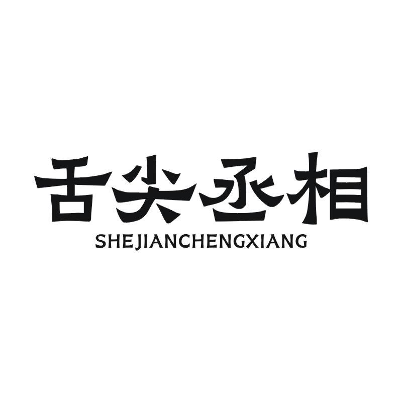 舌尖丞相