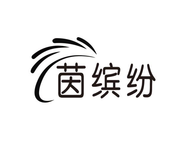茵缤纷