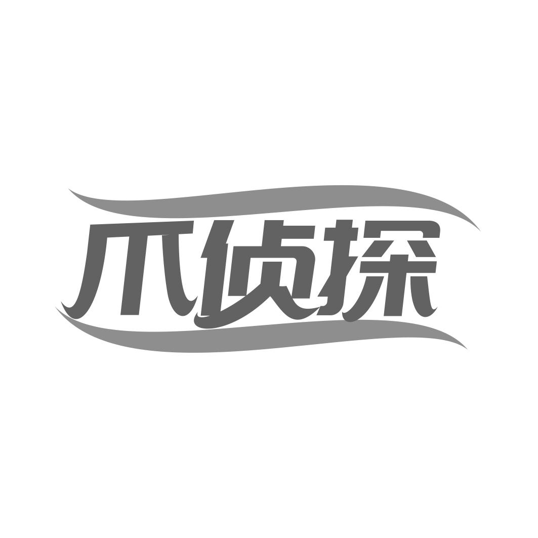 爪侦探