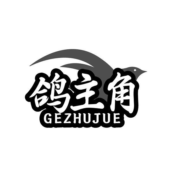 鸽主角
