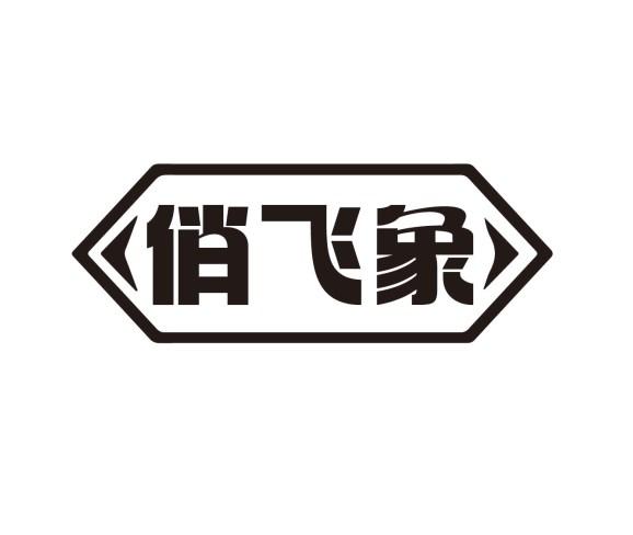 俏飞象
