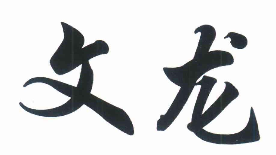 文龙