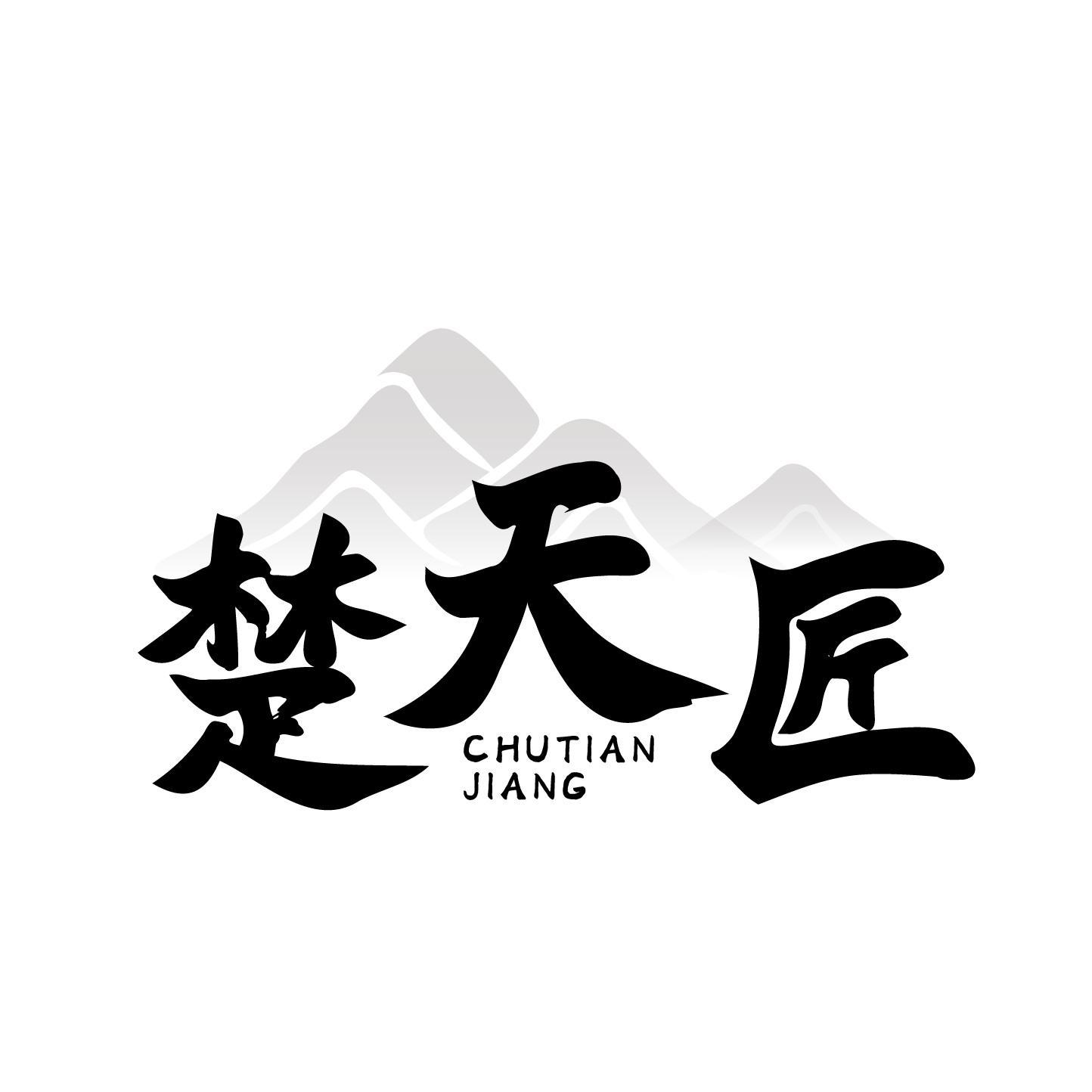 楚天匠