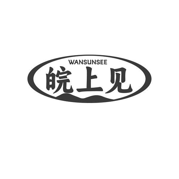 WANSUNSEE 皖上见