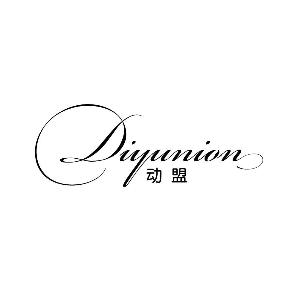 动盟 DIY UNION