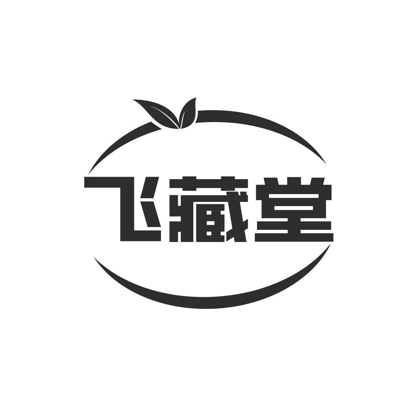 飞藏堂