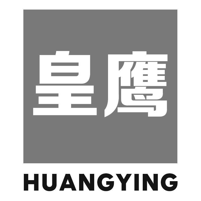 皇鹰