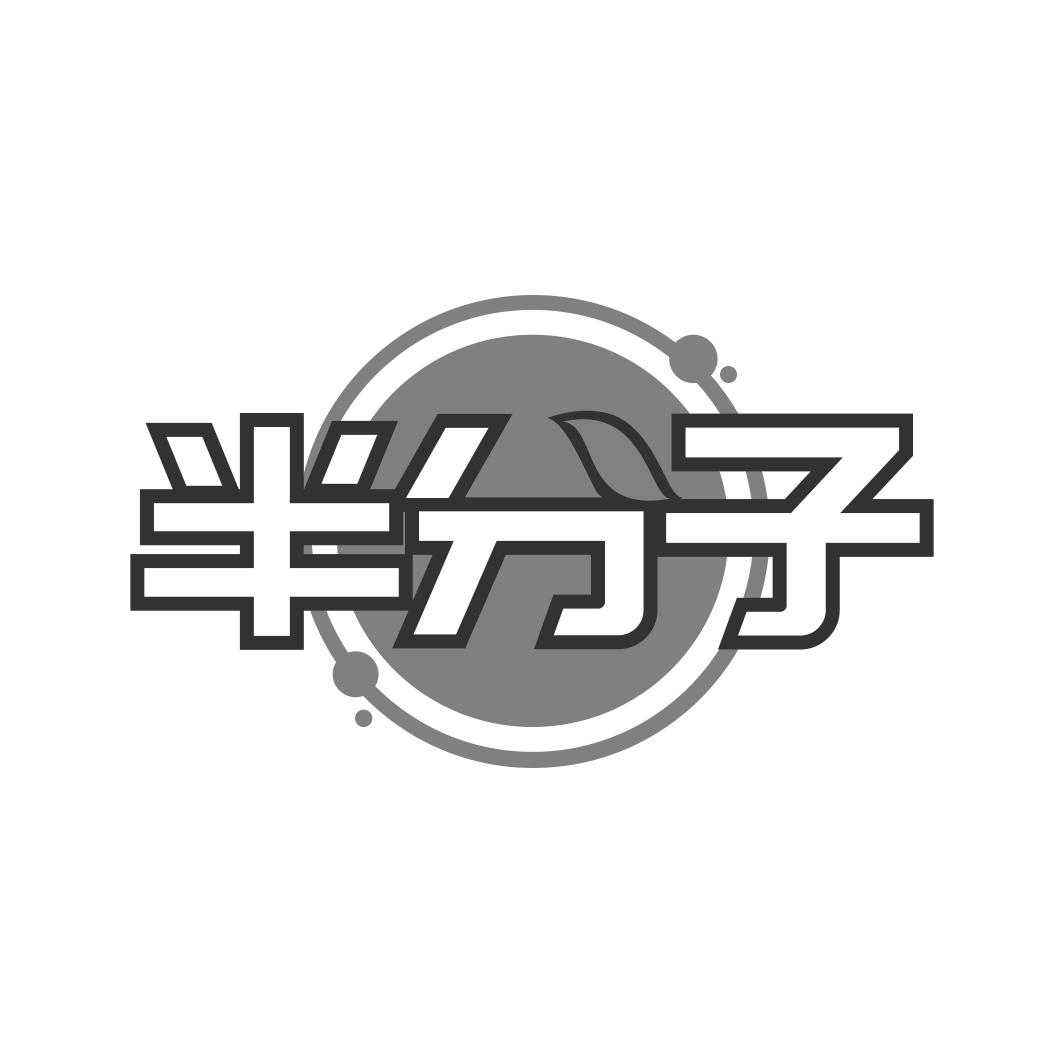 半分子